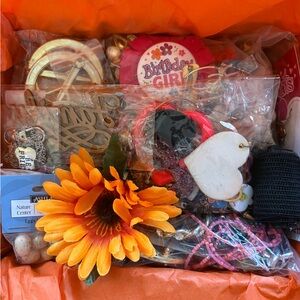 DIY Lot Bundle Set for Arts Crafts Buttons Pins Brooches Jewelry Making Charms